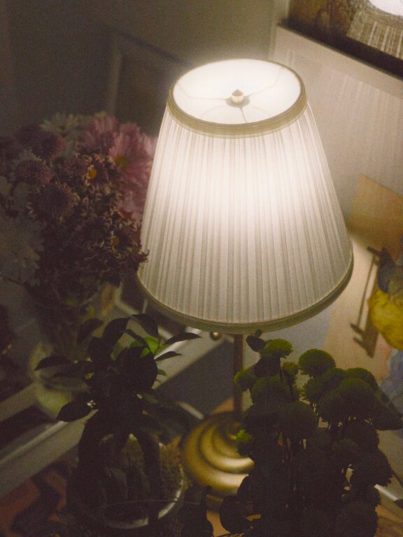 resized_102688